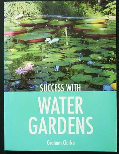 SUCCESS