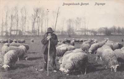 1911
