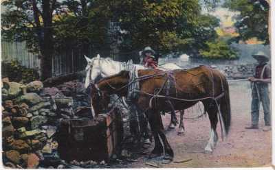 1907