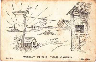 1906