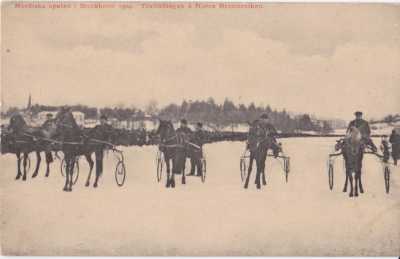 Horse