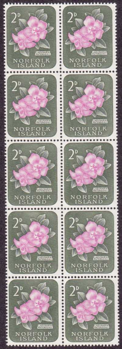 Norfolk