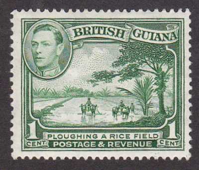 British