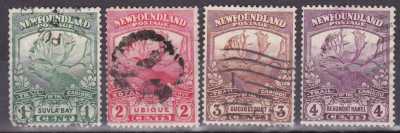 Newfoundland
