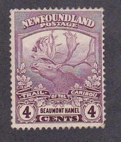 Newfoundland