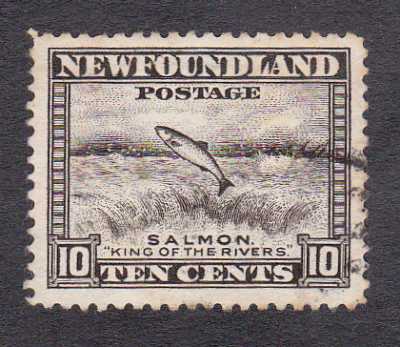 Newfoundland