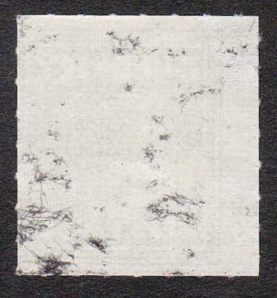 Guernsey