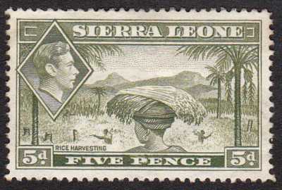 Sierra