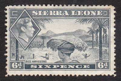 Sierra