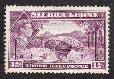 Sierra