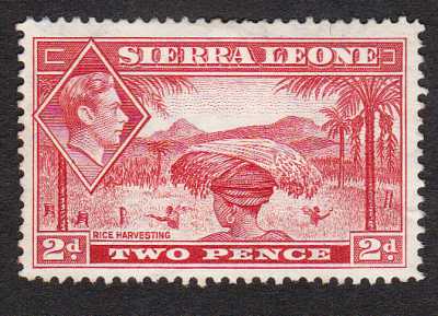 Sierra