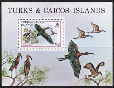 Turks