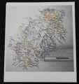 THE NATIONAL HIGH VIOLET 2010 4AD CAD 3X03CD