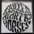 PULLED APART BY HORSES THE HAZE 2017 CAROLINE CDr PROMO