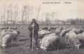 1911