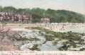 1904