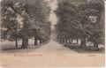 1907