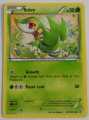 POKEMON SNIVY RC1/RC25 RADIANT CARD LEGENDARY TREASURES 2013 POKEMON LP
