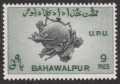 Bahawalpur