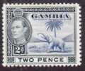 Gambia