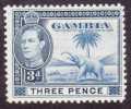 Gambia