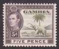 Gambia