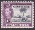 Gambia