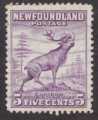 Newfoundland