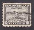 Newfoundland