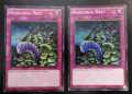 YUGIOH SR02-EN037 NEEDLEBUG NEST 1st EDITION 1996 COLOUR VARIANTS LP