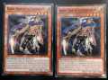 YUGIOH SR02-EN022 RAIDENHAND OF THE LIGHTSWORN 1st EDITION 1996 COLOUR VARIANTS LP